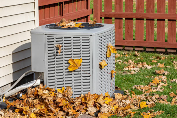 Best HVAC air duct cleaning  in Pinecrest, FL